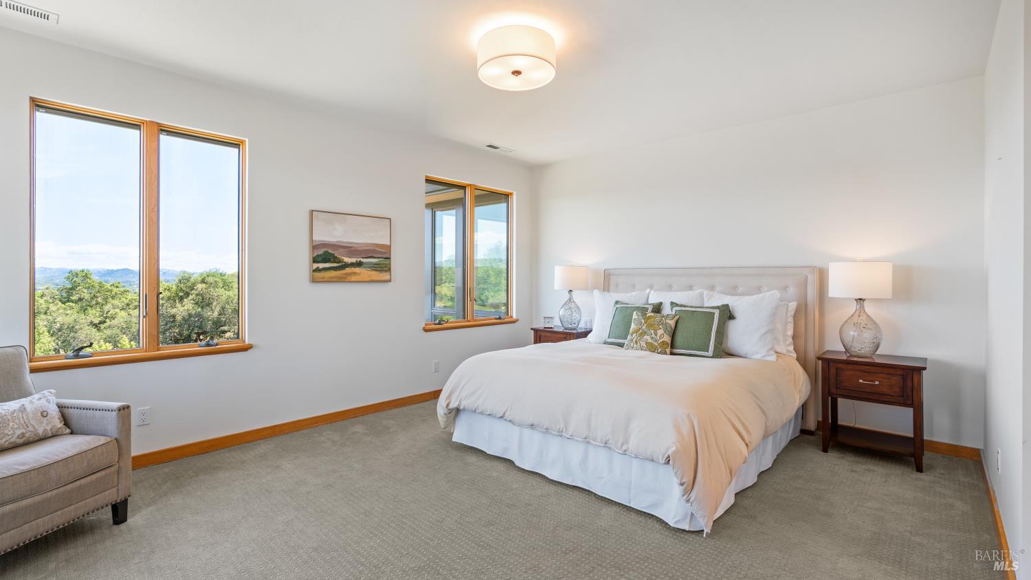 6355 Mountain View Ranch Road Healdsburg, CA 95448 - Photo 21 of 66