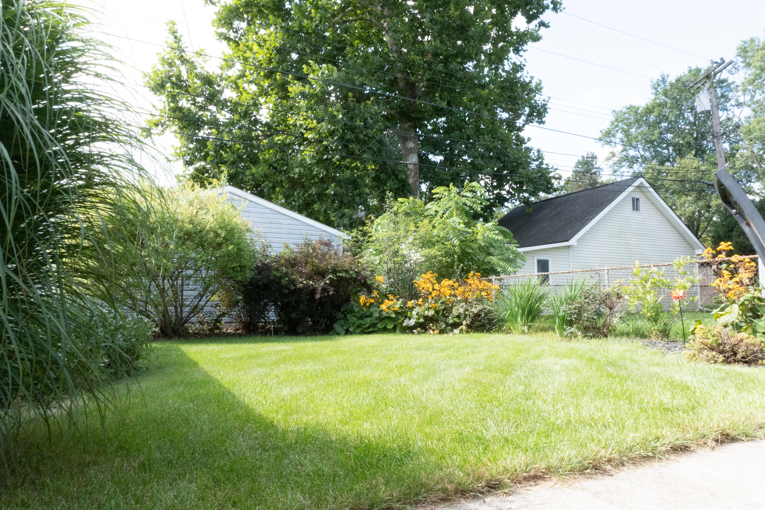 1325 Cambridge Road Berkley, MI 48072 - Photo 22 of 24 backyard