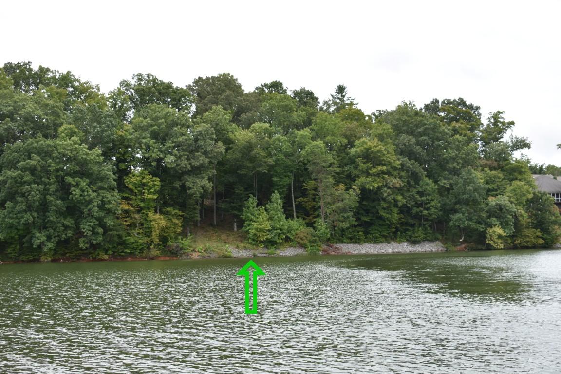 Lot 12 Spring Crossing Dr Spring Spring City, TN 37381 - Photo 2 of 28 2
