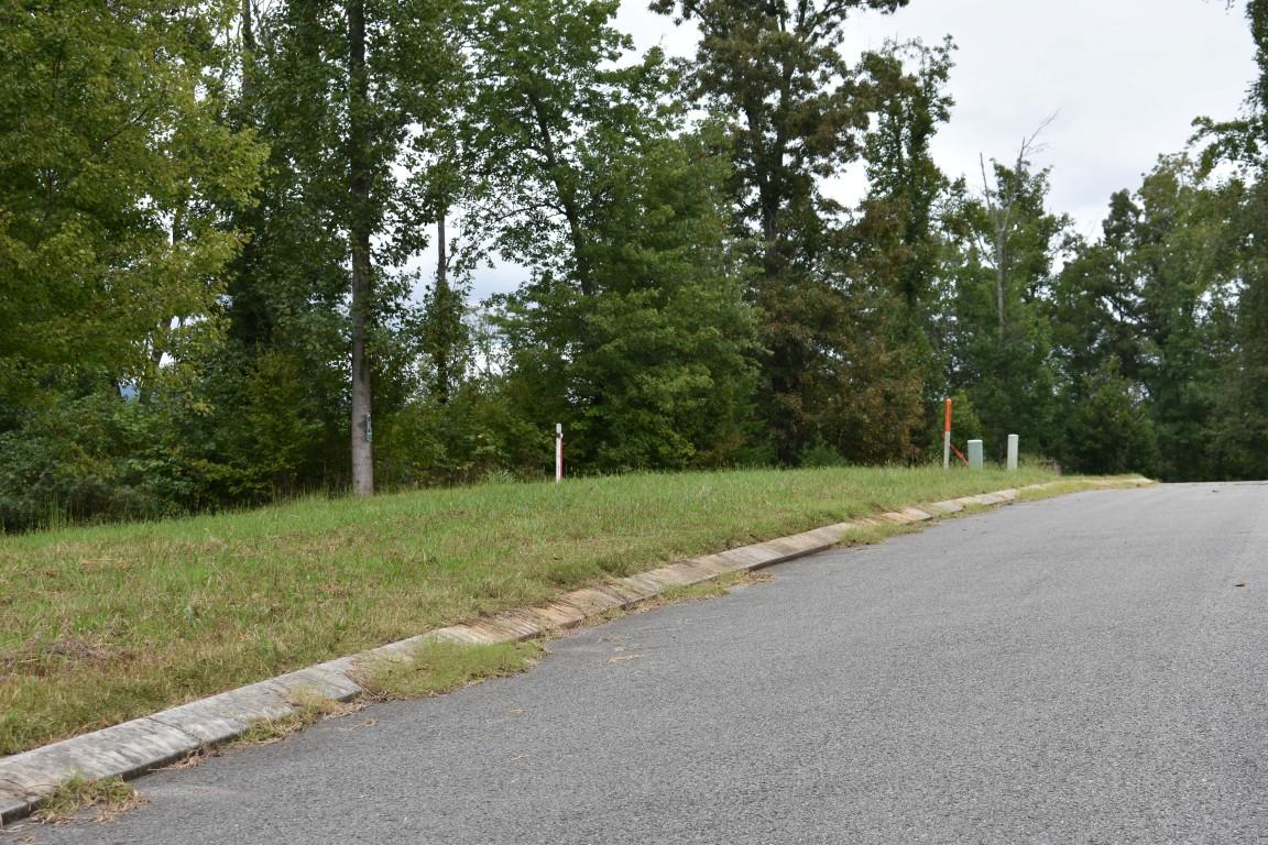 Lot 12 Spring Crossing Dr Spring Spring City, TN 37381 - Photo 12 of 28 Lot 12 Spring Crossing road (Medium)