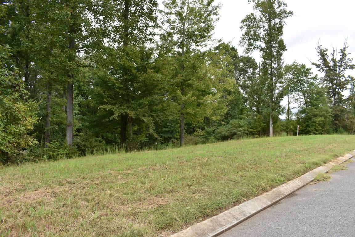 Lot 12 Spring Crossing Dr Spring Spring City, TN 37381 - Photo 14 of 28 Lot 12 Spring Crossing road 3 (Medium)