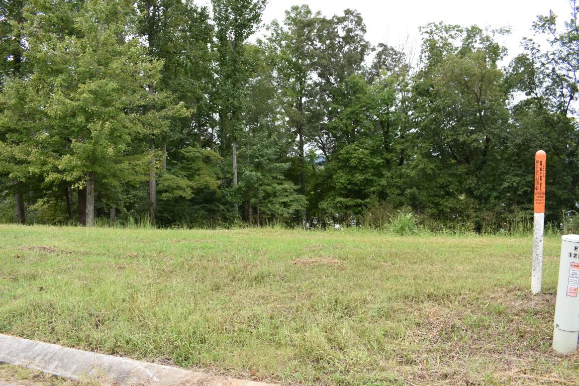 Lot 12 Spring Crossing Dr Spring Spring City, TN 37381 - Photo 15 of 28 Lot 12 Spring Crossing road 4 (Medium)
