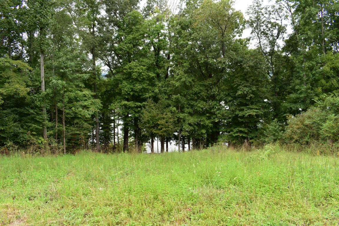 Lot 12 Spring Crossing Dr Spring Spring City, TN 37381 - Photo 16 of 28 Lot 12 Spring Crossing top of lot (Mediu