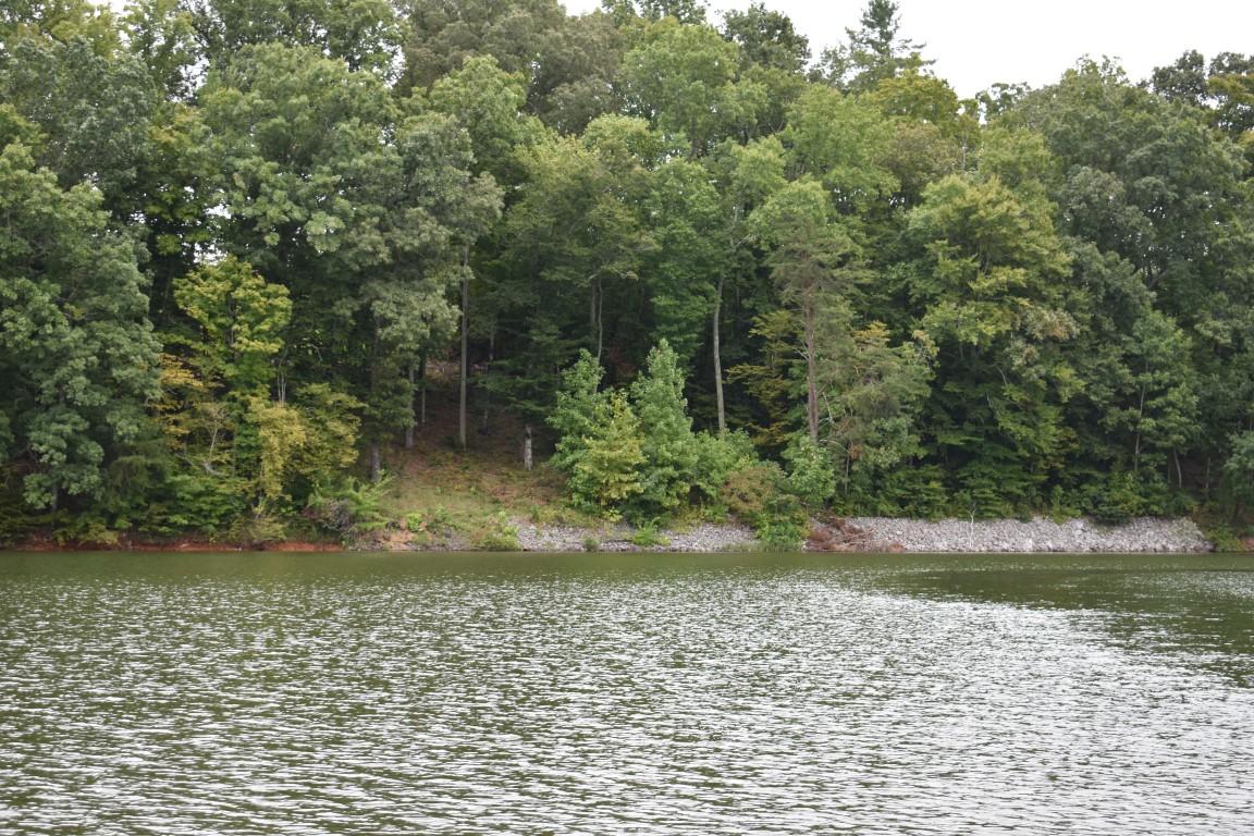 Lot 12 Spring Crossing Dr Spring Spring City, TN 37381 - Photo 3 of 28 3
