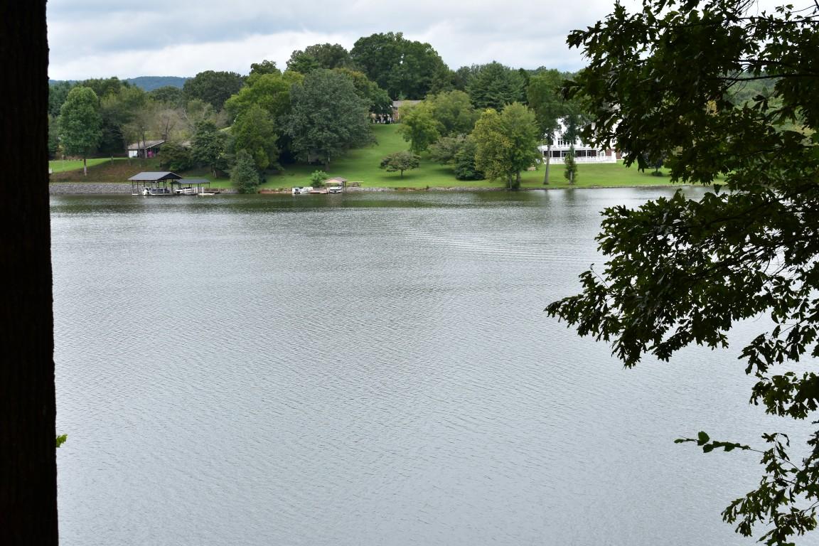Lot 12 Spring Crossing Dr Spring Spring City, TN 37381 - Photo 21 of 28 Lot 12 Spring Crossing view from trees (
