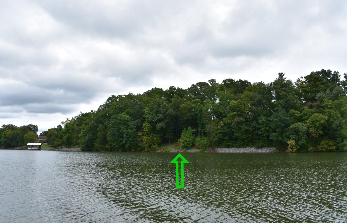 Lot 12 Spring Crossing Dr Spring Spring City, TN 37381 - Photo 22 of 28 Lot 12 Spring Crossing view from water r