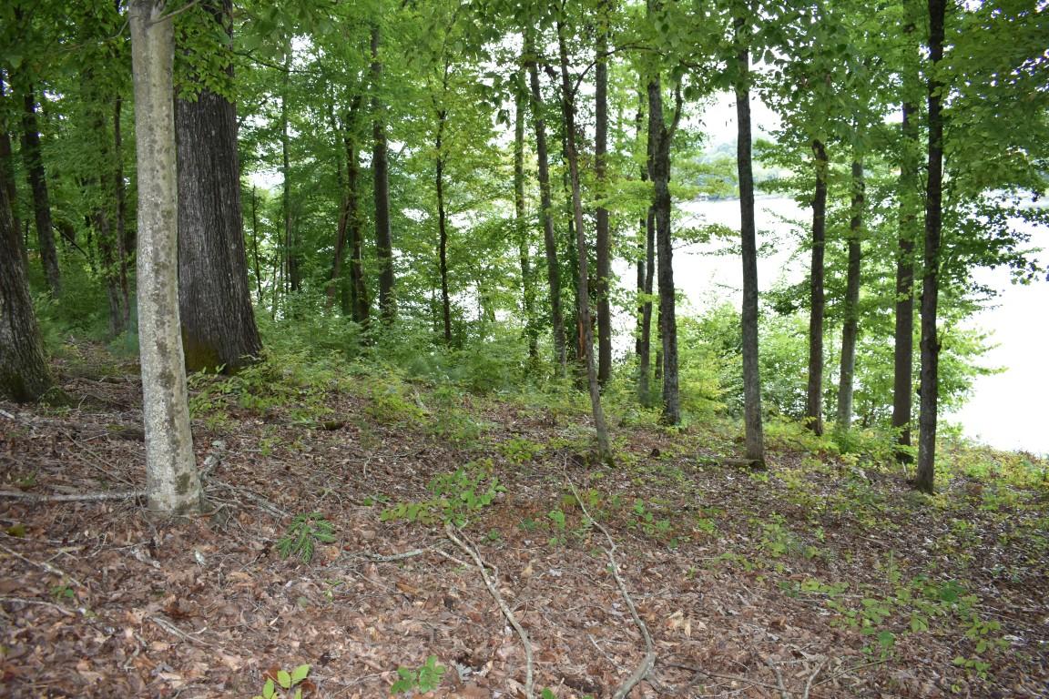 Lot 12 Spring Crossing Dr Spring Spring City, TN 37381 - Photo 5 of 28 Lot 12 Spring Crossing lake left (Medium