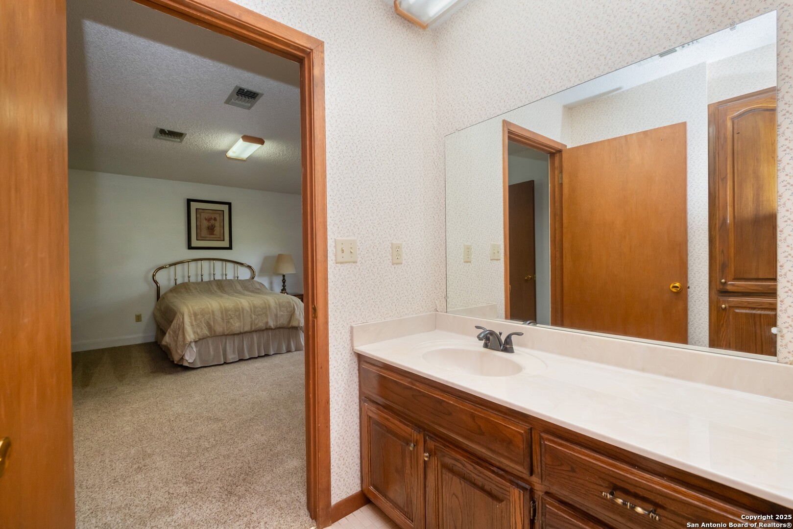 1221 Pieper Road New Braunfels, TX 78130 - Photo 20 of 43 a en suite bathroom with a double vanity sink and a mirror