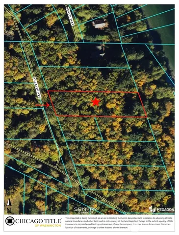 a picture of a plant