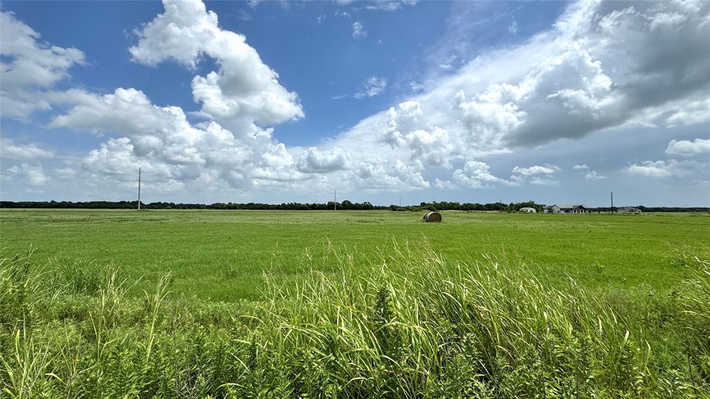 0 Fm 3486 Terrell, TX 75160 - Photo 5 of 11