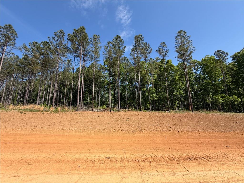 1000 Hidden Harbor Road Lincolnton, GA 30817 - Photo 32 of 45 Gallery Image 32