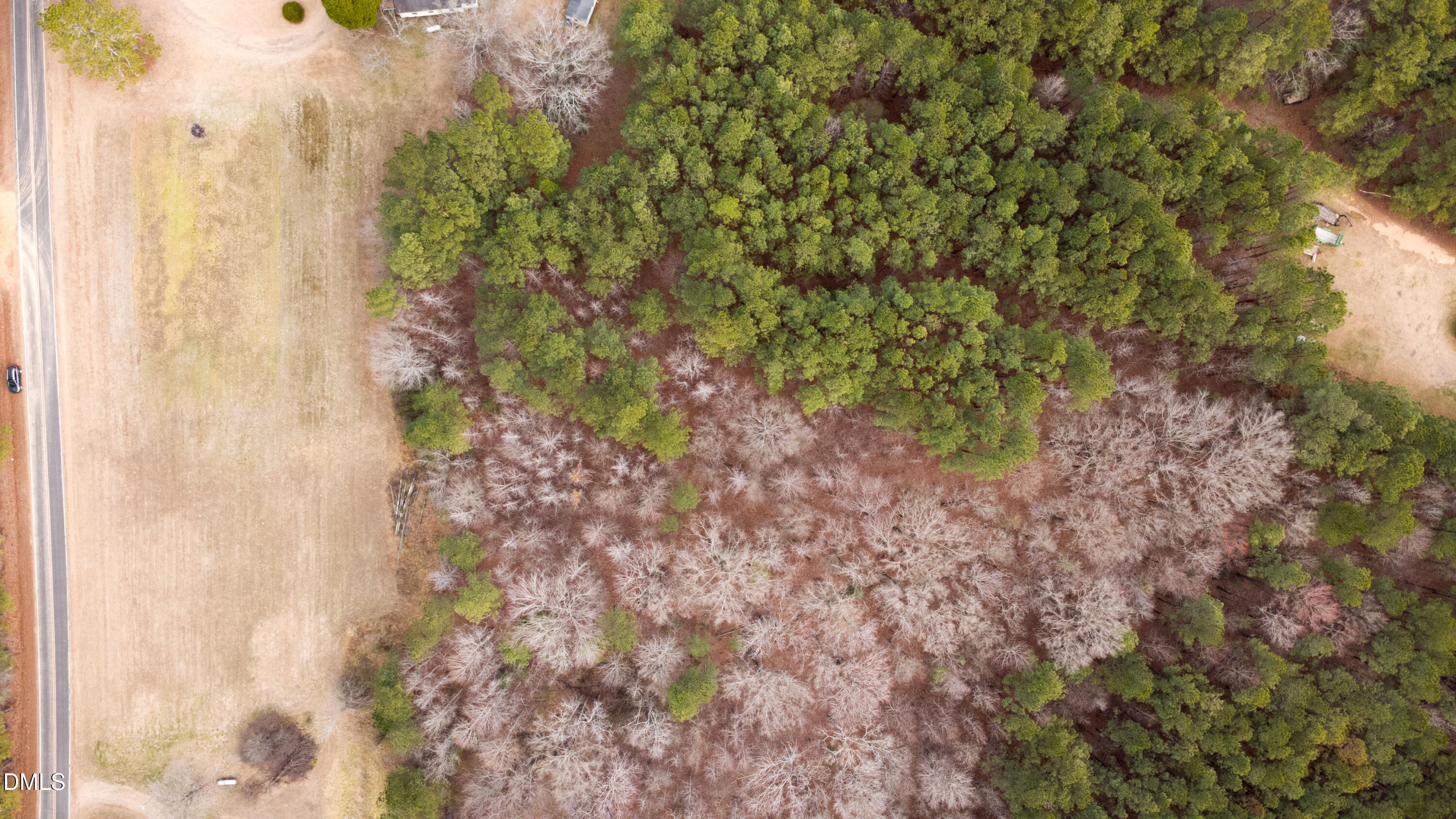 0 Osgood Road Sanford, NC 27330 - Photo 4 of 4 a picture of a tree