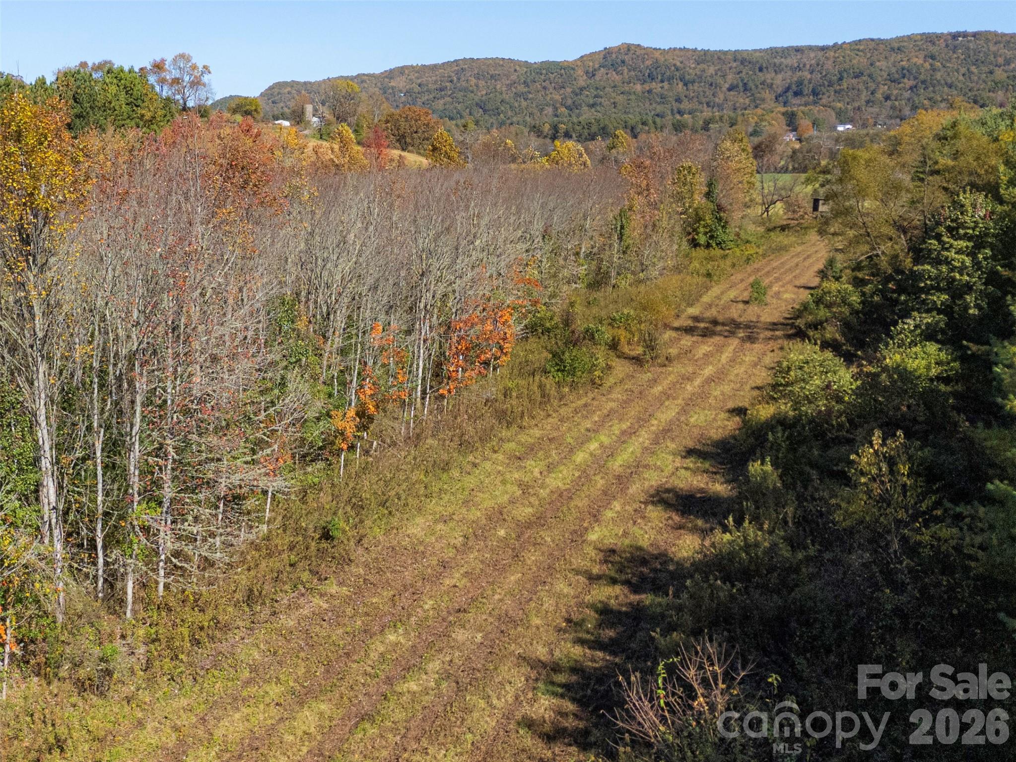 Tbd Hart Road Pisgah Forest, NC 28768 - Photo 11 of 46 a view of lake with a mountain