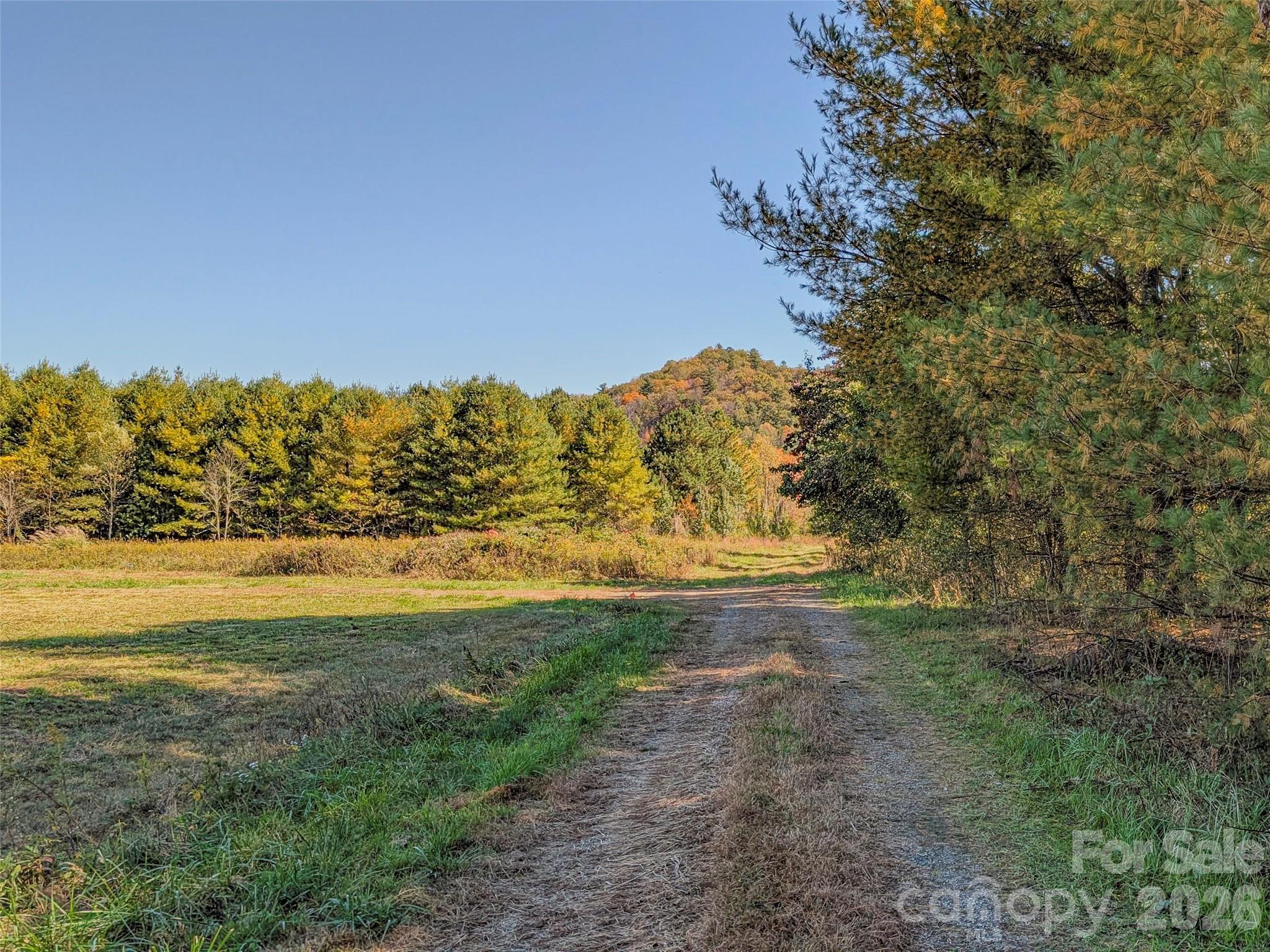 Tbd Hart Road Pisgah Forest, NC 28768 - Photo 14 of 46 a view of an ocean and beach