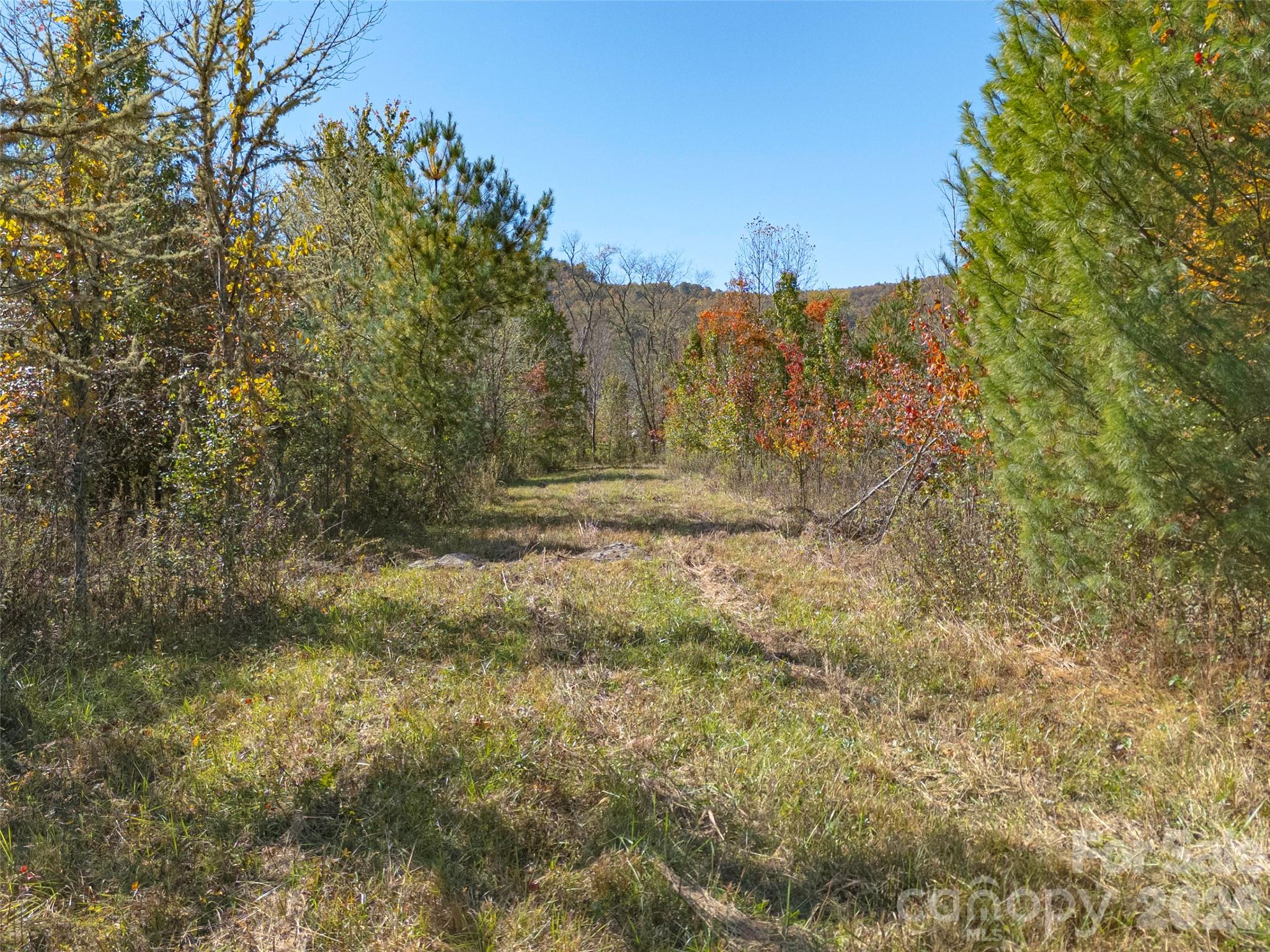 Tbd Hart Road Pisgah Forest, NC 28768 - Photo 15 of 46 a view of pathway covered with fog