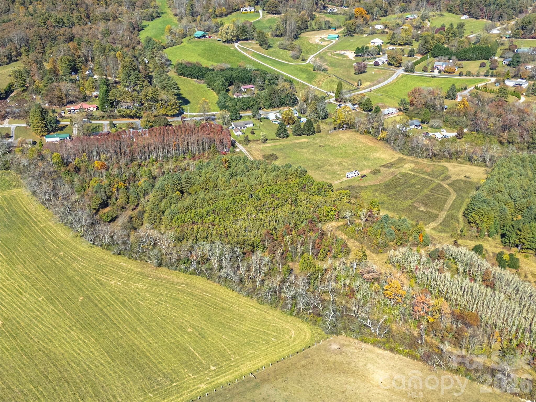 Tbd Hart Road Pisgah Forest, NC 28768 - Photo 16 of 46 a view of a yard