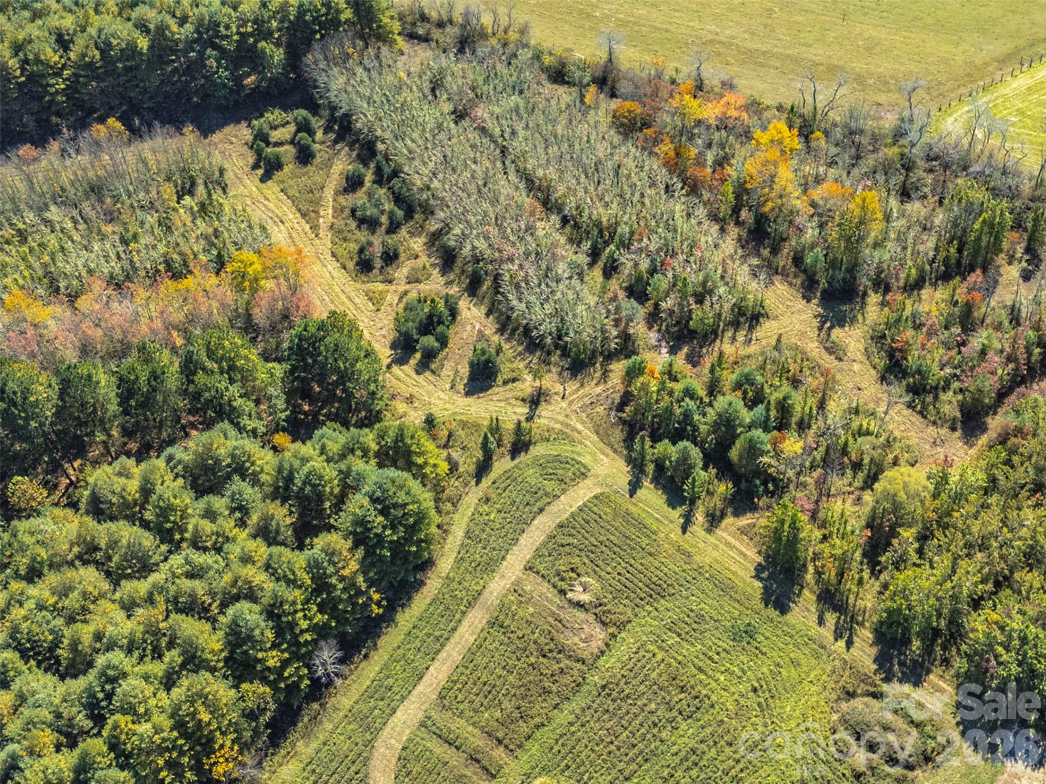 Tbd Hart Road Pisgah Forest, NC 28768 - Photo 23 of 46 a view of a yard