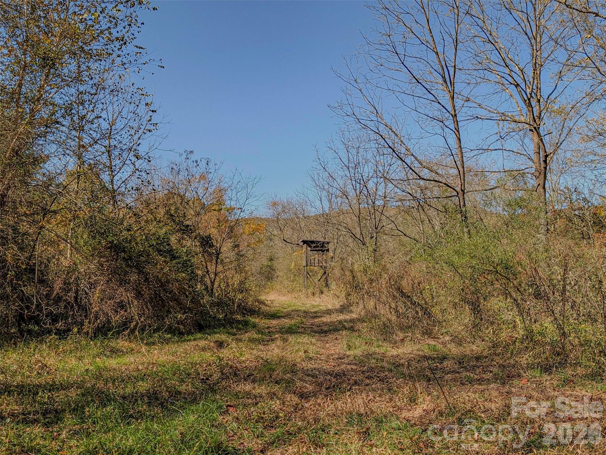 Tbd Hart Road Pisgah Forest, NC 28768 - Photo 31 of 46 a backyard of a house