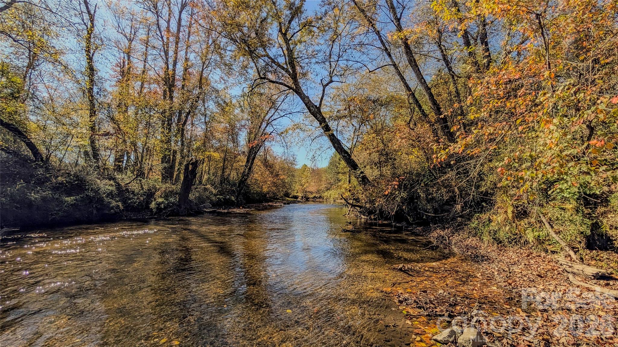 Tbd Hart Road Pisgah Forest, NC 28768 - Photo 33 of 46 a view of a yard with trees