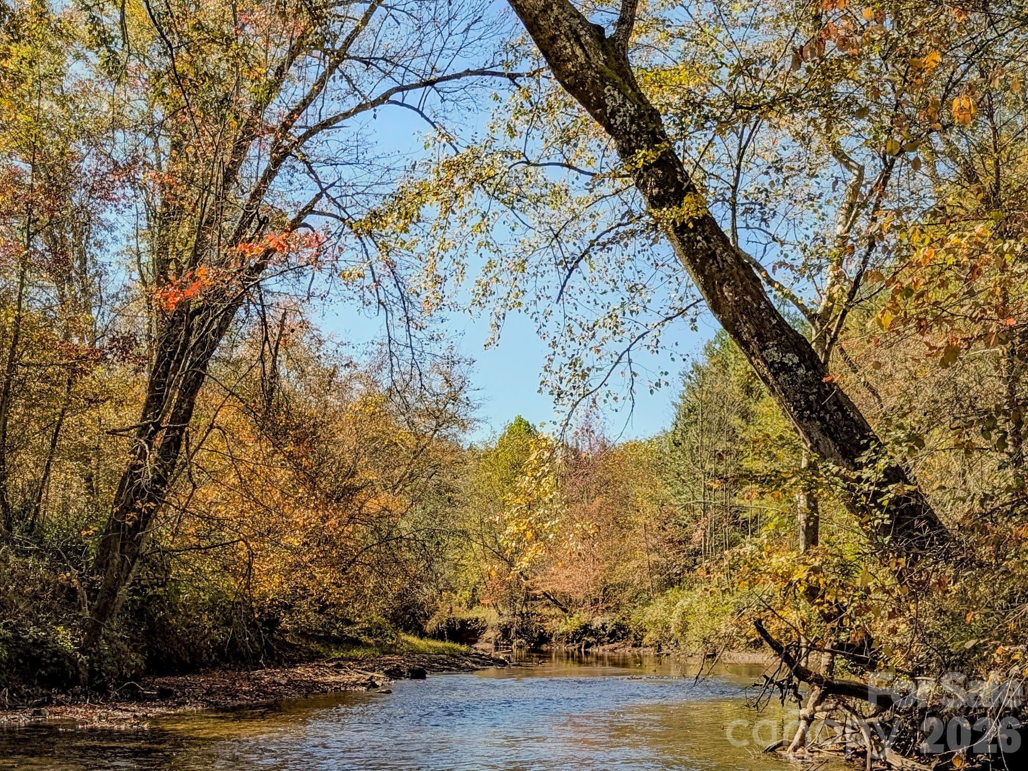 Tbd Hart Road Pisgah Forest, NC 28768 - Photo 34 of 46 a view of a yard with plants and trees