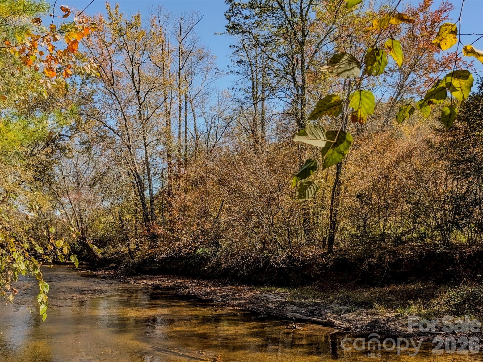 Tbd Hart Road Pisgah Forest, NC 28768 - Photo 35 of 46 a view of water with large trees