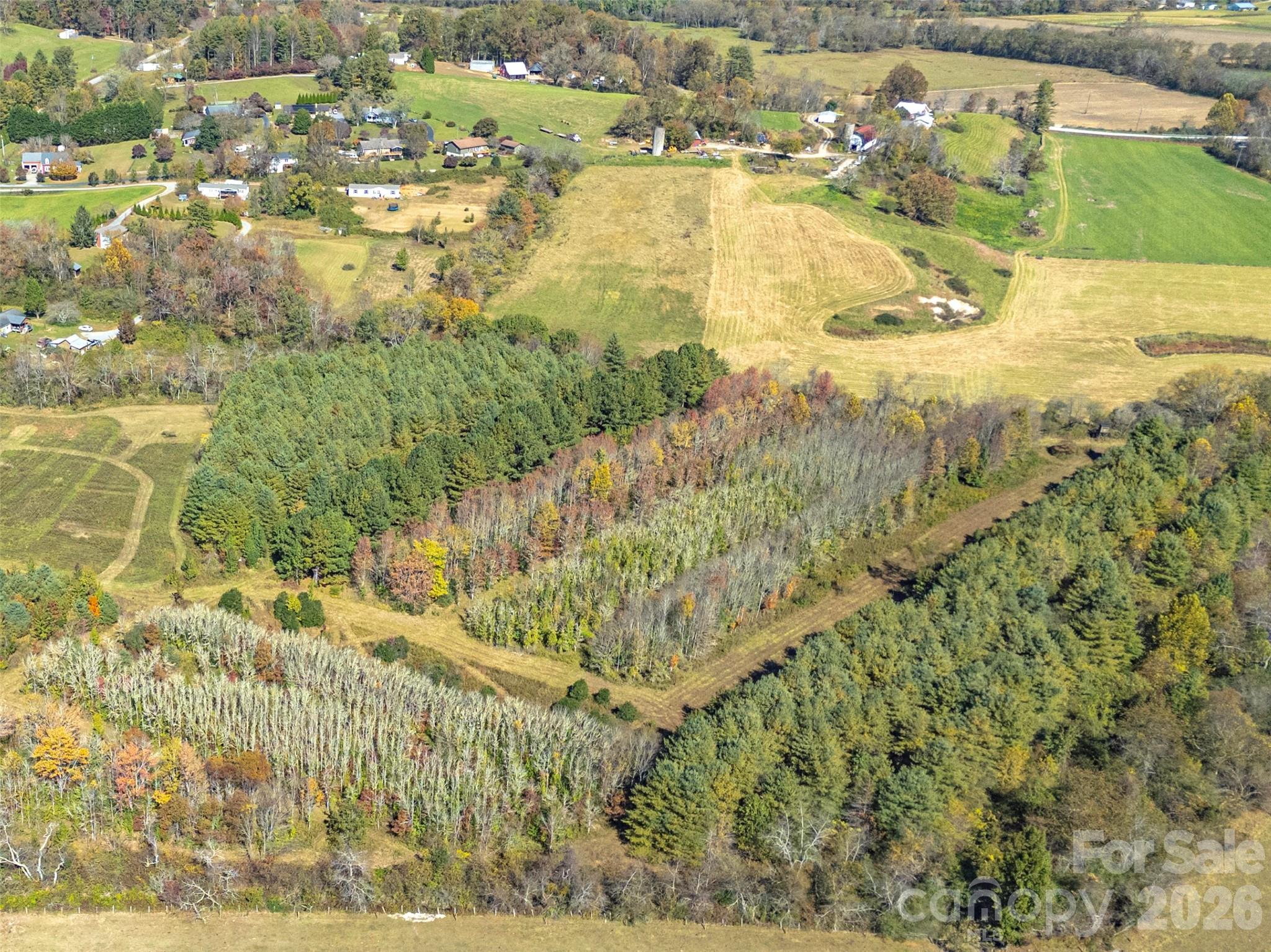 Tbd Hart Road Pisgah Forest, NC 28768 - Photo 37 of 46 a view of a yard with an outdoor space