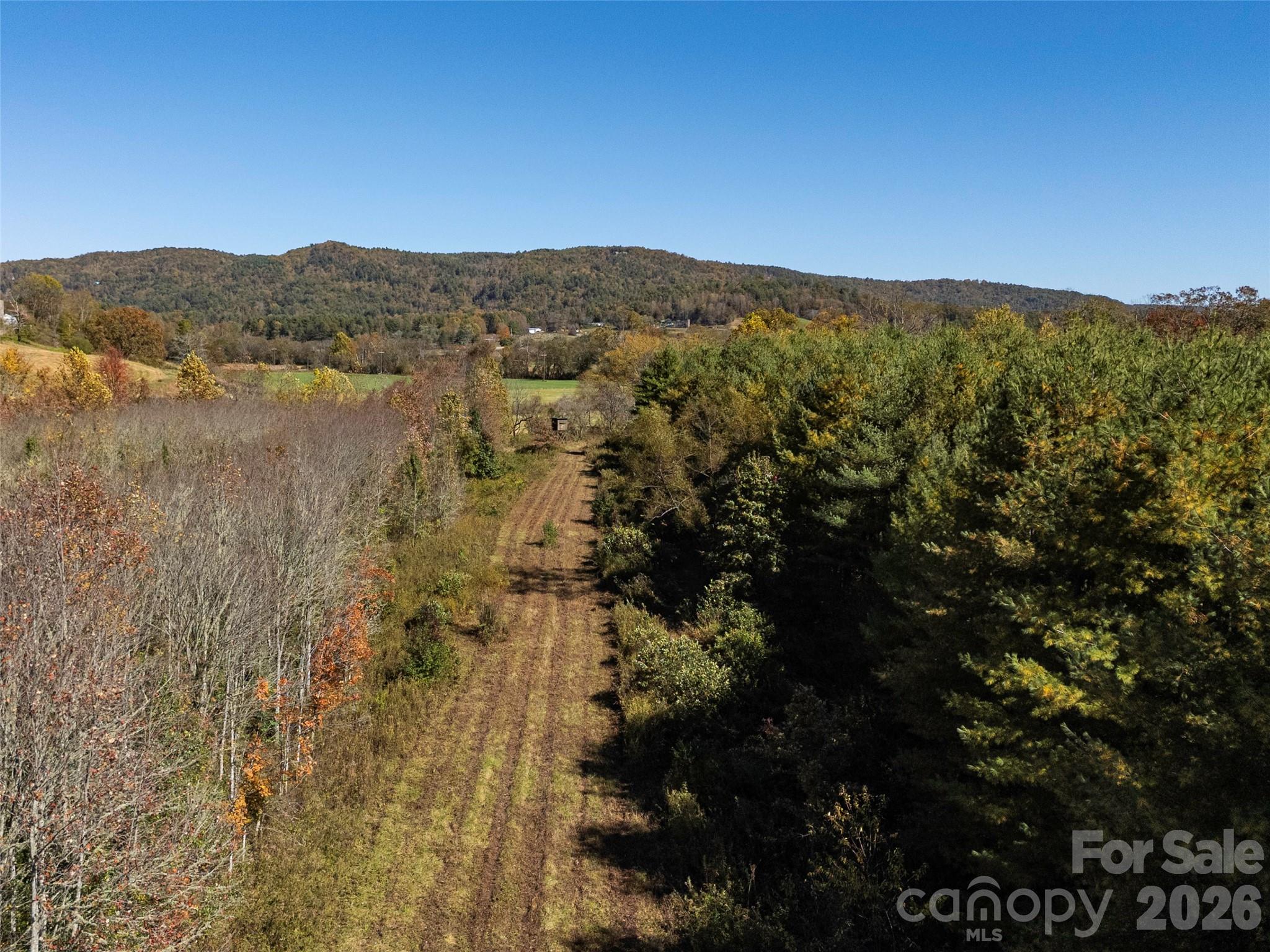 Tbd Hart Road Pisgah Forest, NC 28768 - Photo 39 of 46 a view of lake and mountain