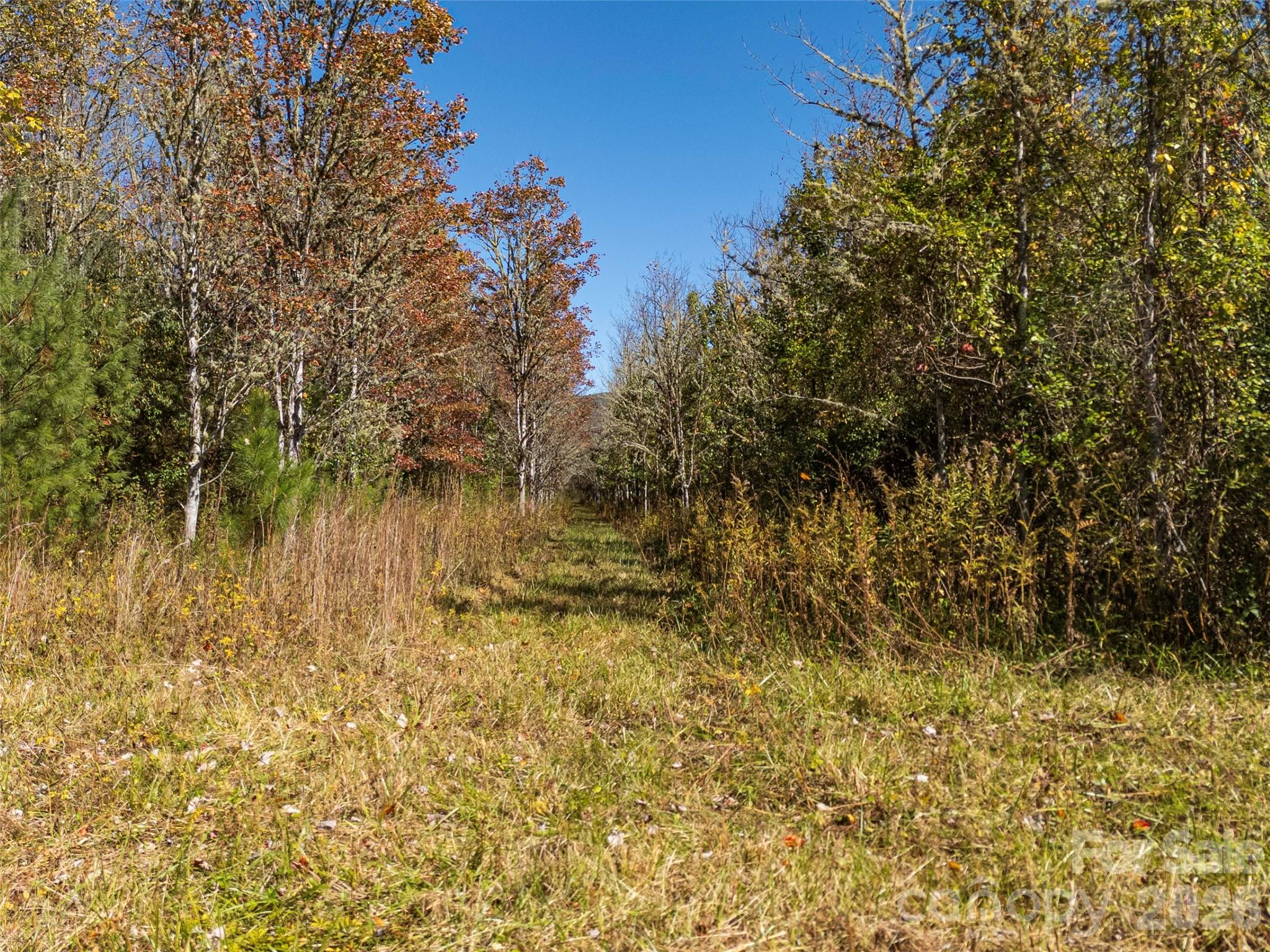 Tbd Hart Road Pisgah Forest, NC 28768 - Photo 41 of 46 a view of yard with green space
