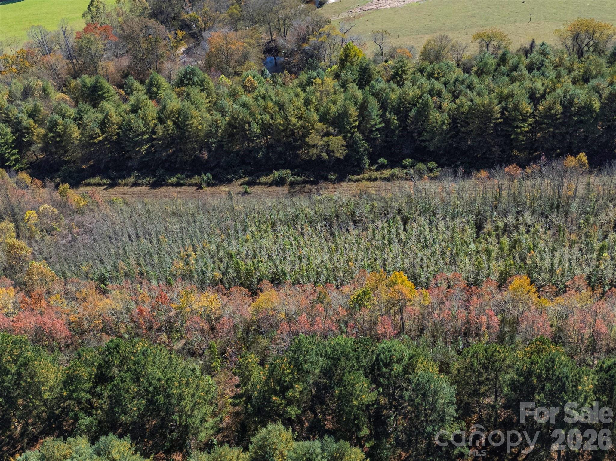 Tbd Hart Road Pisgah Forest, NC 28768 - Photo 43 of 46 a view of a lake with large trees