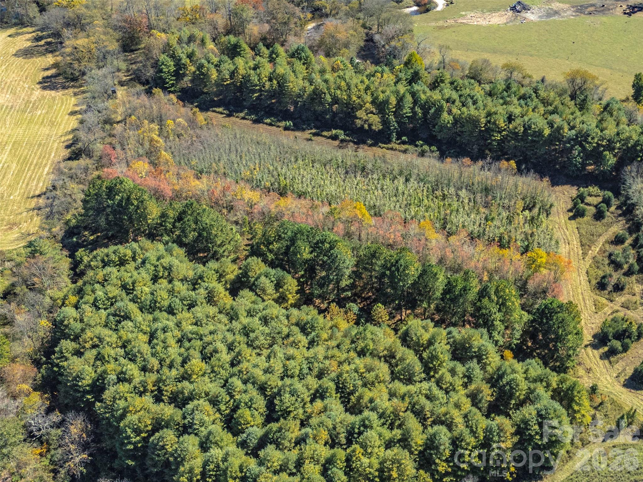 Tbd Hart Road Pisgah Forest, NC 28768 - Photo 45 of 46 a view of a garden with a lake