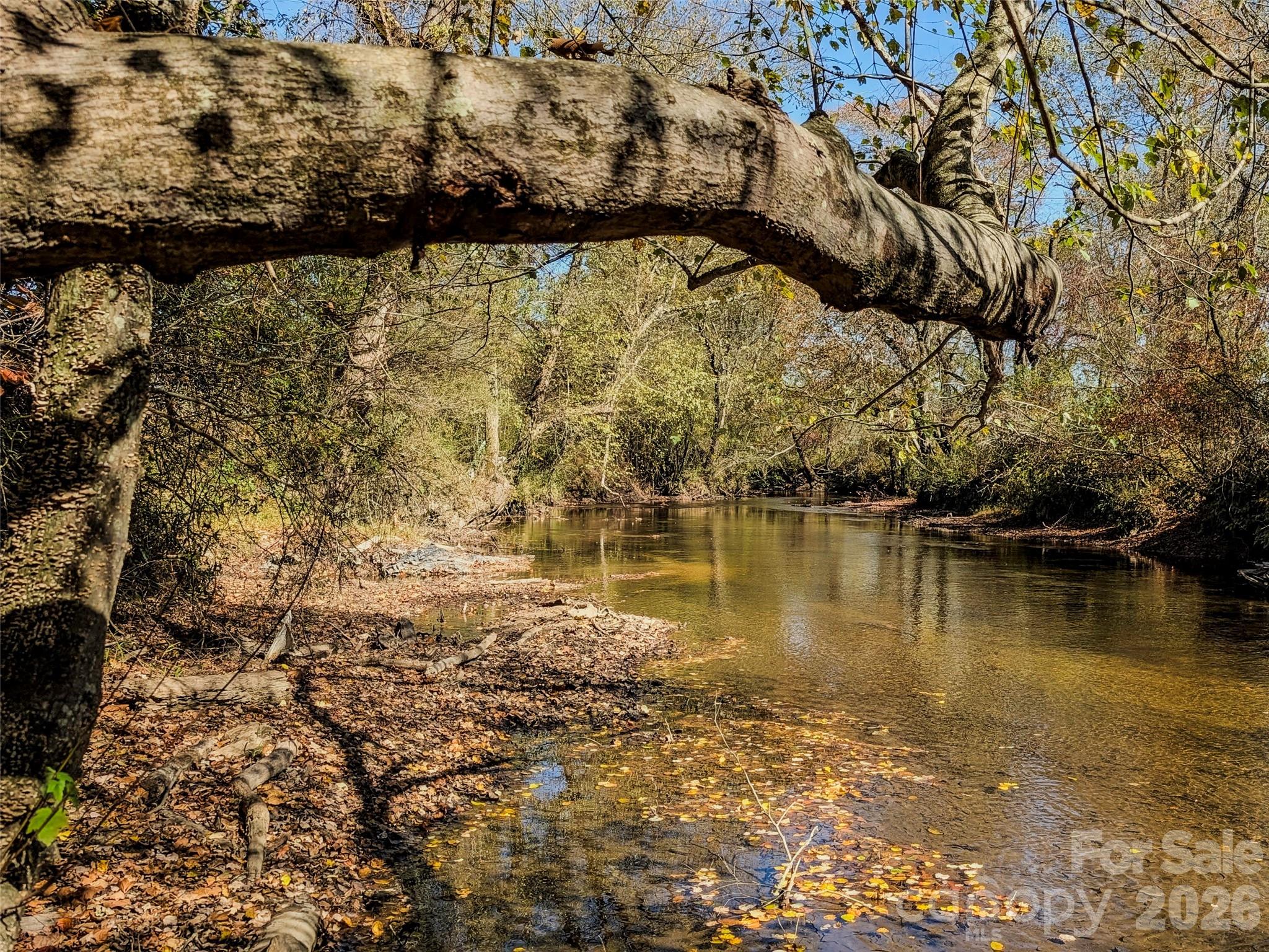 Tbd Hart Road Pisgah Forest, NC 28768 - Photo 6 of 46