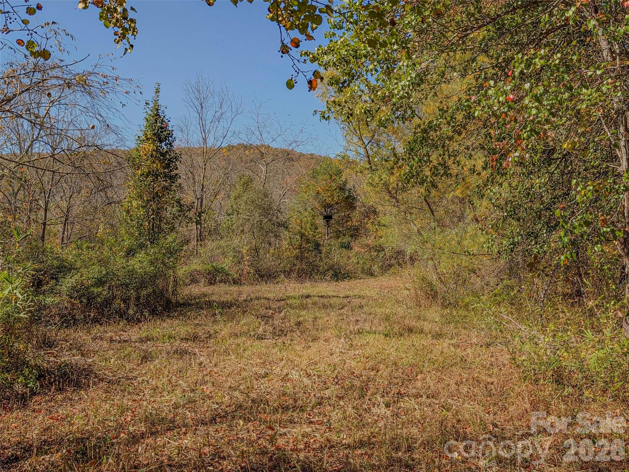 Tbd Hart Road Pisgah Forest, NC 28768 - Photo 7 of 46 a view of a yard