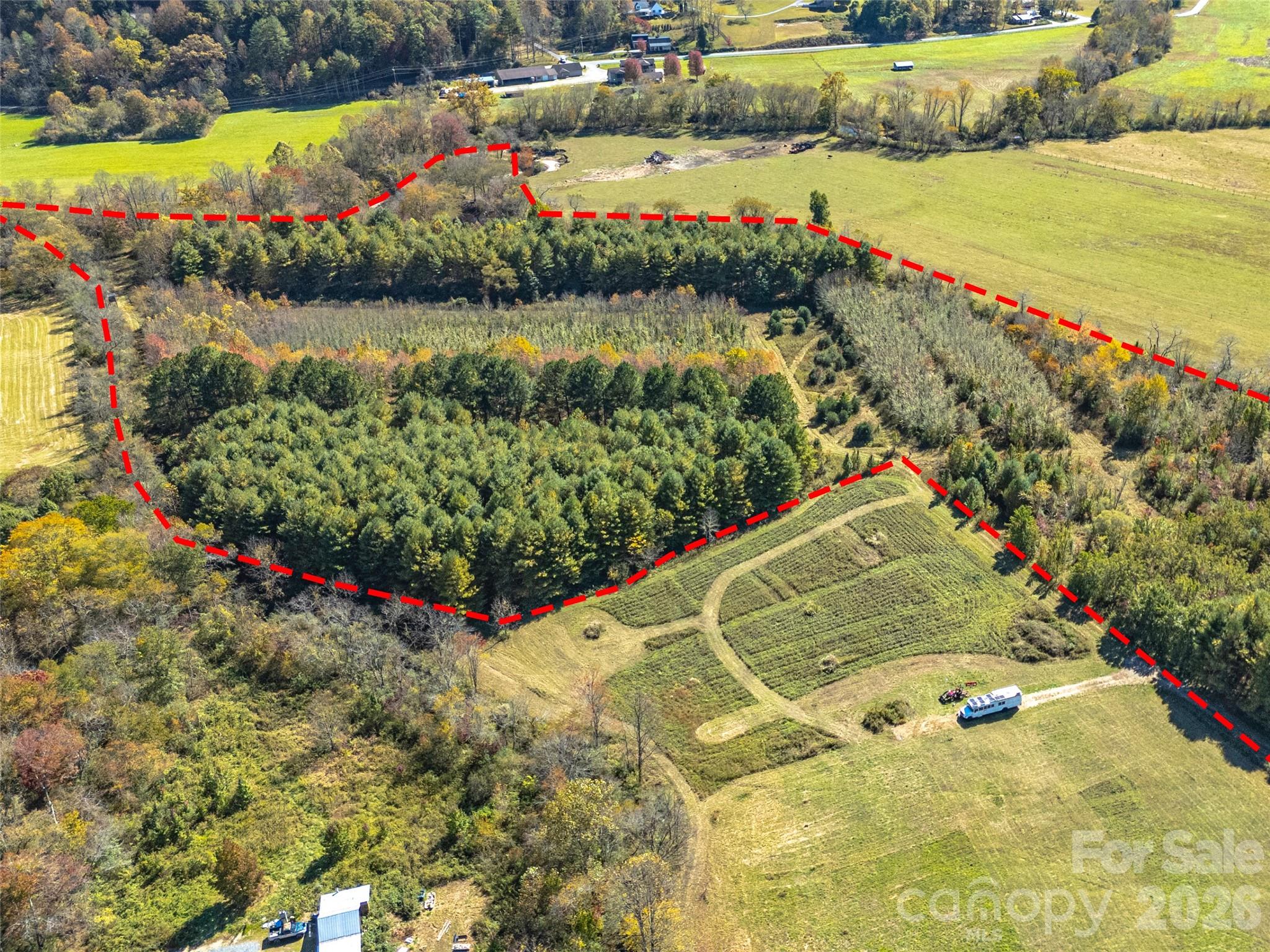 Tbd Hart Road Pisgah Forest, NC 28768 - Photo 10 of 46 a view of a garden with flowers