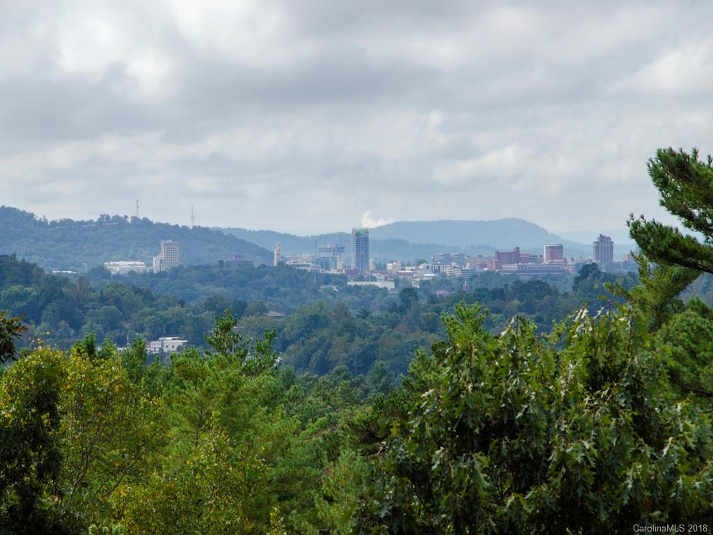 5 Beaverbrook Road, Unit 6 Asheville, NC 28804 - Photo 11 of 25 Gallery Image 11