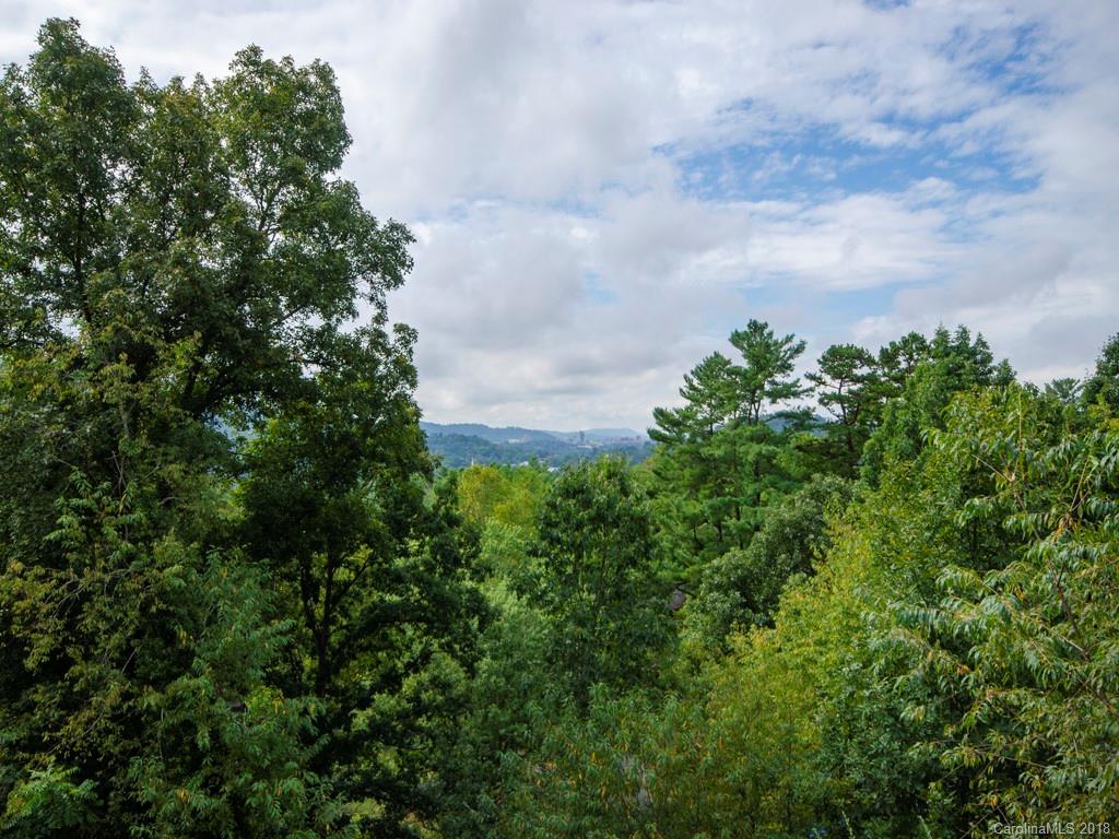 5 Beaverbrook Road, Unit 6 Asheville, NC 28804 - Photo 10 of 25 Gallery Image 10