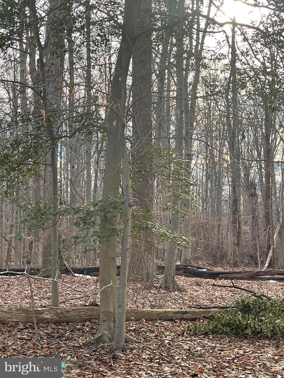 Lusbys Lane Brandywine, MD 20613 - Photo 2 of 6