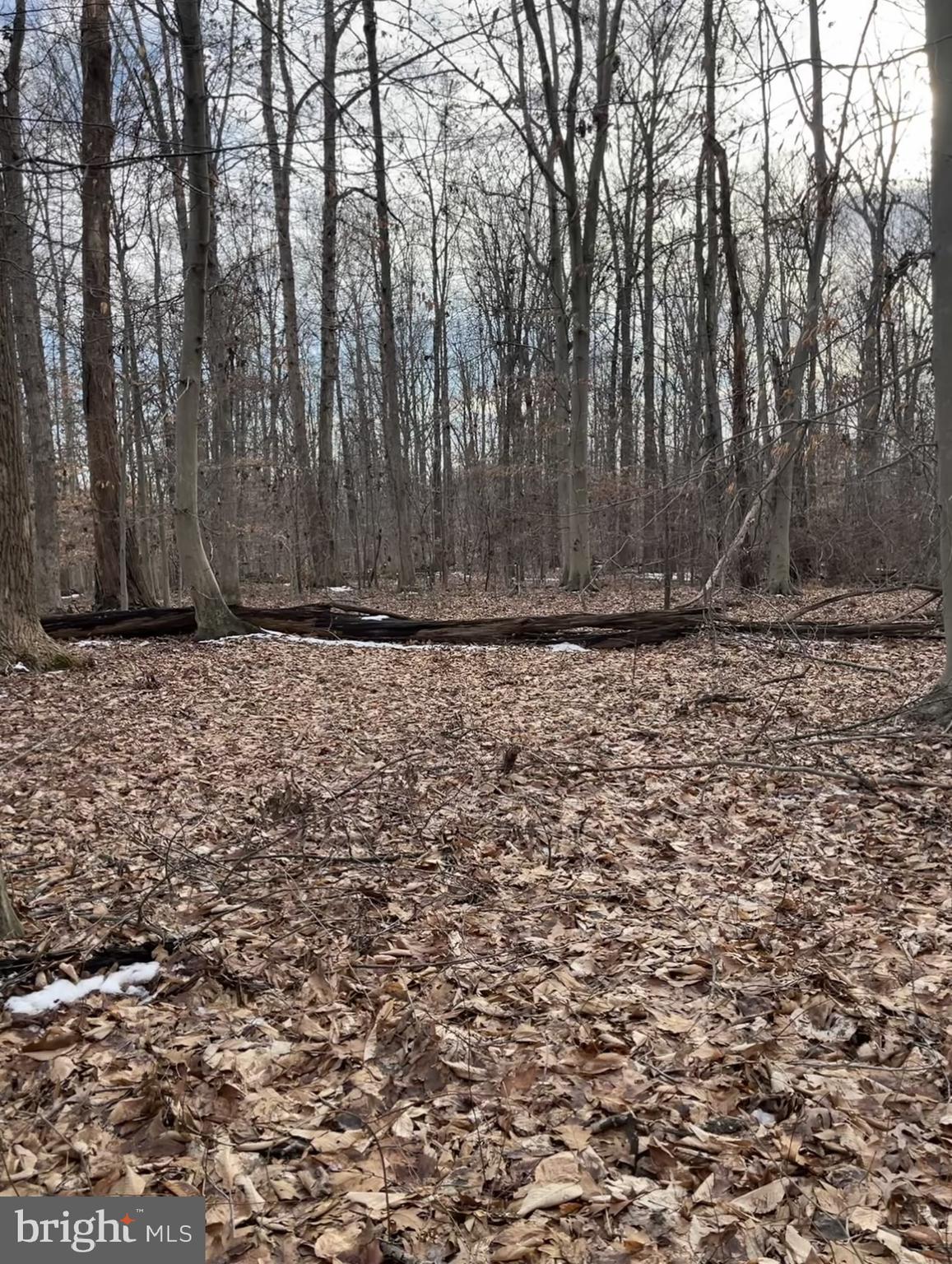 Lusbys Lane Brandywine, MD 20613 - Photo 3 of 6