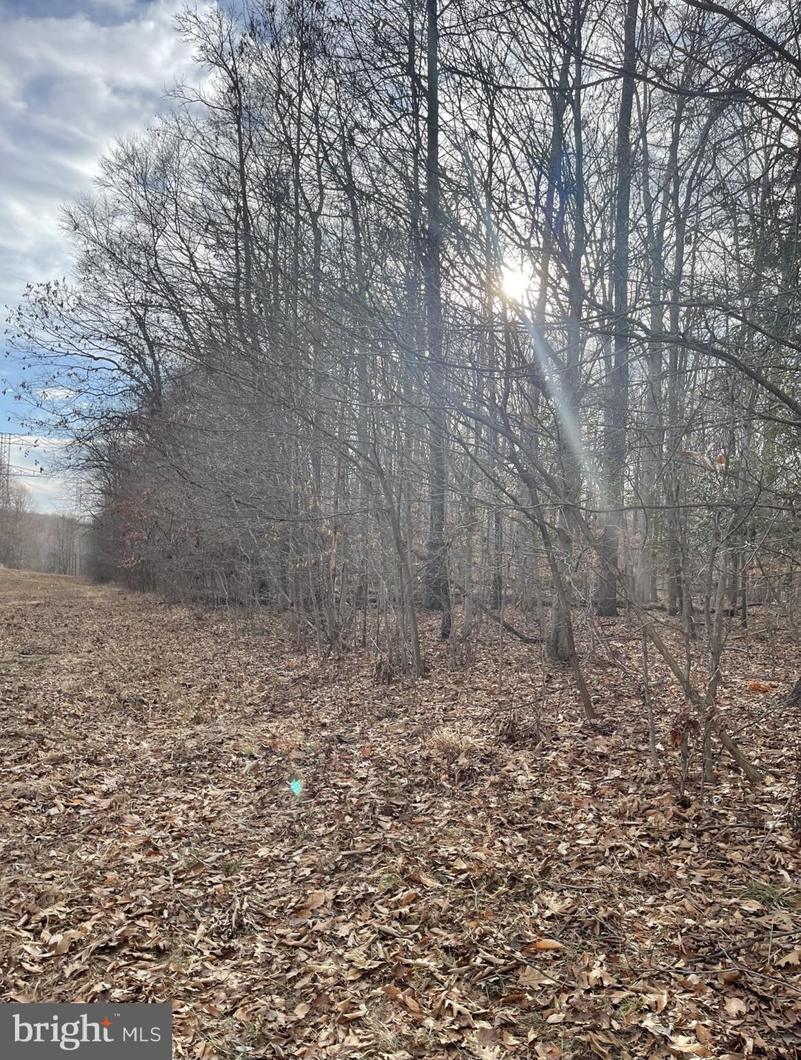 Lusbys Lane Brandywine, MD 20613 - Photo 5 of 6