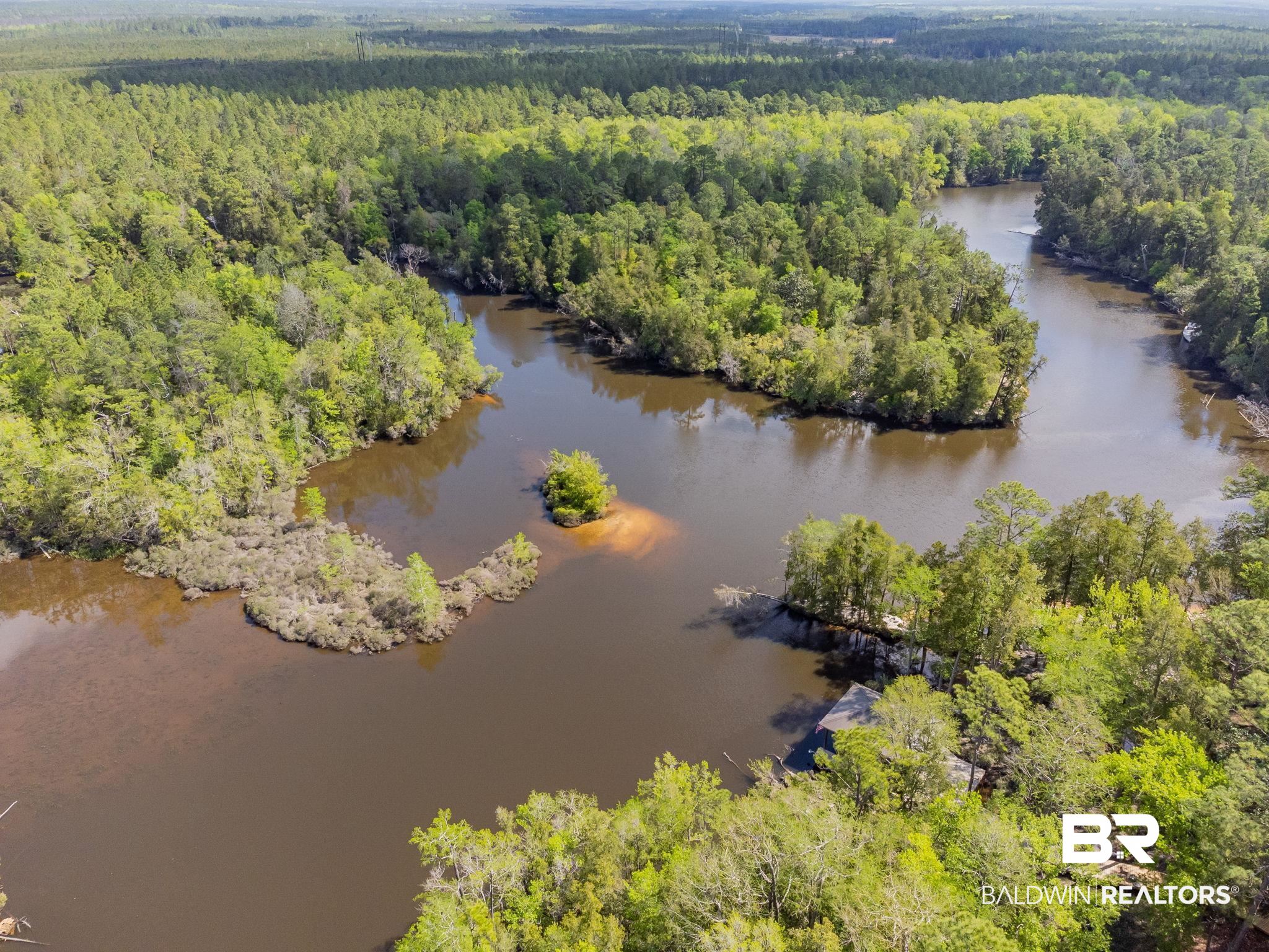 32345 River Lake Road Seminole, AL 36574 - Photo 56 of 56 Bird's eye view featuring a wooded view and a water view