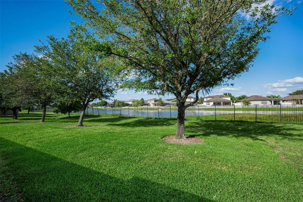 1933 Arbor Knoll Loop Trinity, FL 34655 - Photo 44 of 100