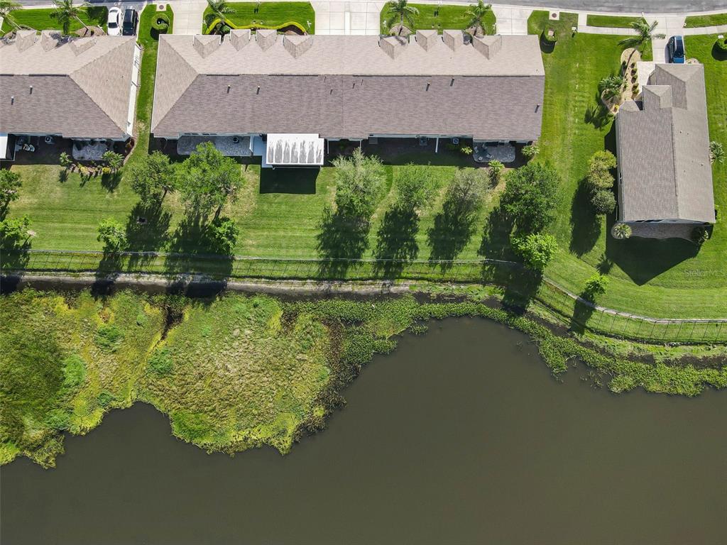 1933 Arbor Knoll Loop Trinity, FL 34655 - Photo 45 of 100