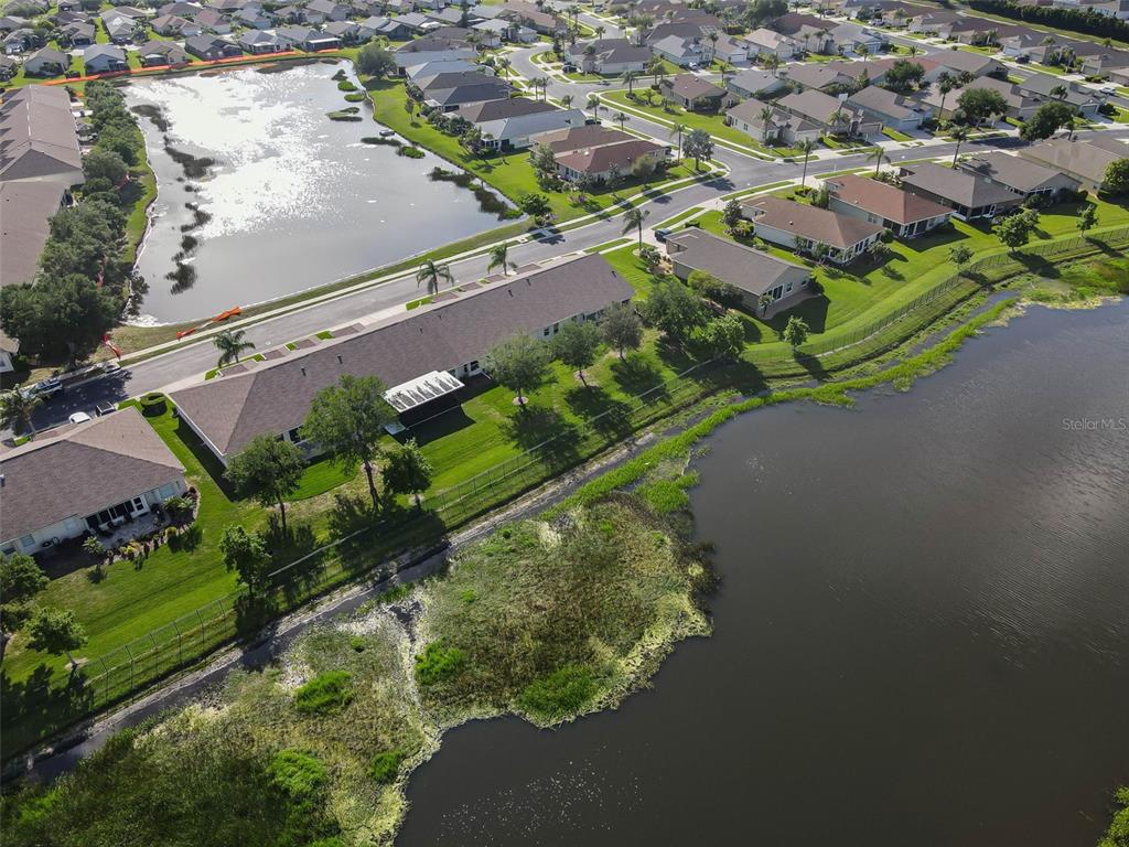 1933 Arbor Knoll Loop Trinity, FL 34655 - Photo 47 of 100