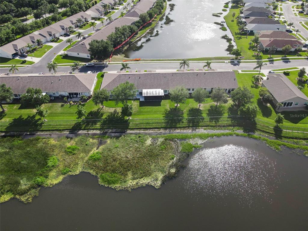 1933 Arbor Knoll Loop Trinity, FL 34655 - Photo 49 of 100