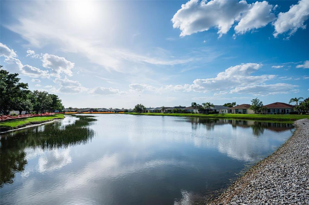 1933 Arbor Knoll Loop Trinity, FL 34655 - Photo 5 of 100