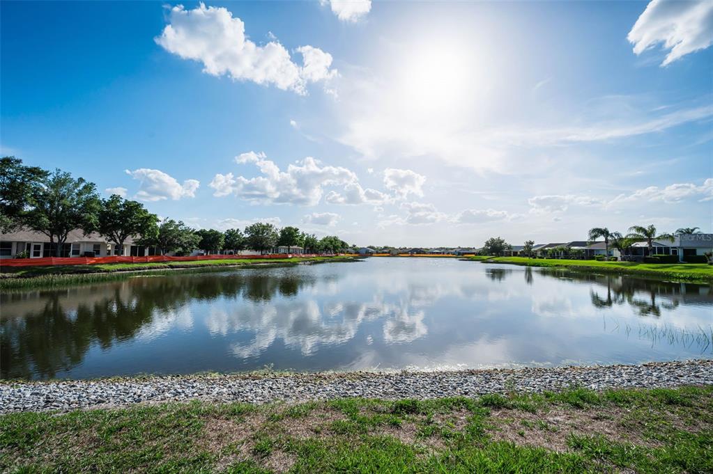 1933 Arbor Knoll Loop Trinity, FL 34655 - Photo 6 of 100