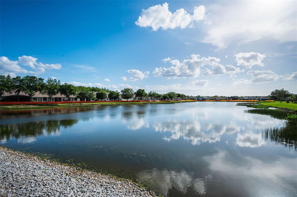 1933 Arbor Knoll Loop Trinity, FL 34655 - Photo 7 of 100