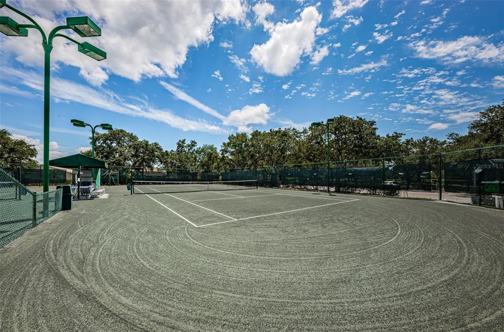 1933 Arbor Knoll Loop Trinity, FL 34655 - Photo 91 of 100