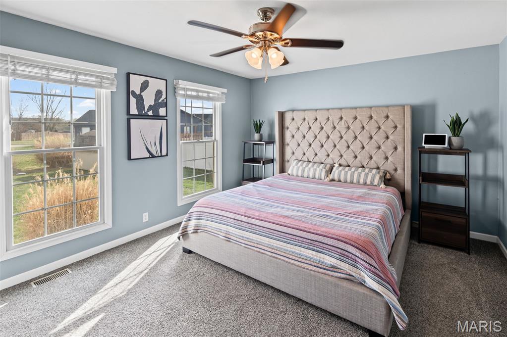 4511 Moonlight Way Alton, IL 62002 - Photo 30 of 48