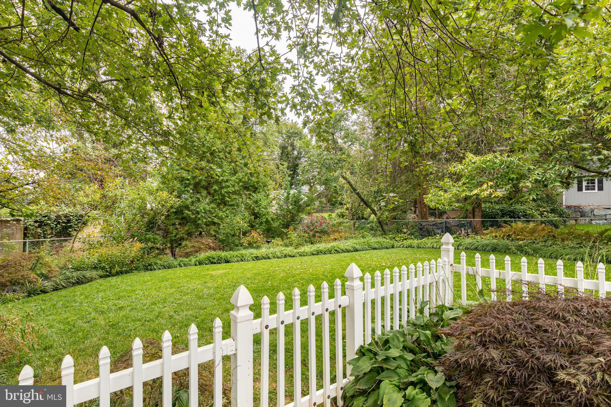 915 Arran Road Baltimore, MD 21239 - Photo 44 of 54 Manicured perennial garden