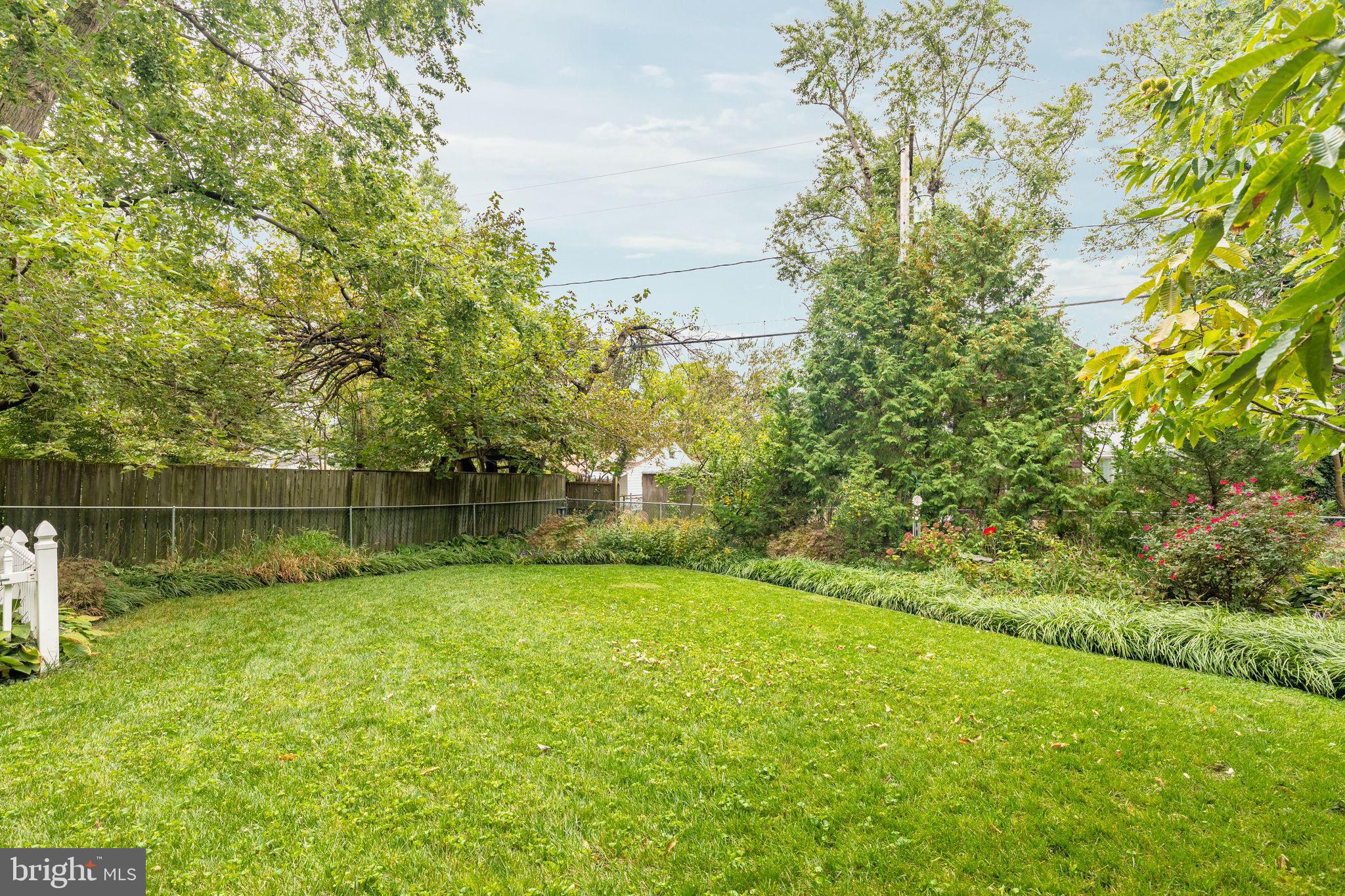 915 Arran Road Baltimore, MD 21239 - Photo 46 of 54 Beautiful backyard